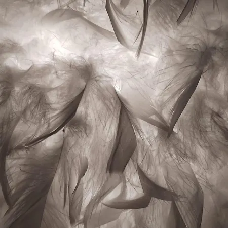 Boutique Garden One Bucharest